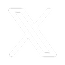 X Icon